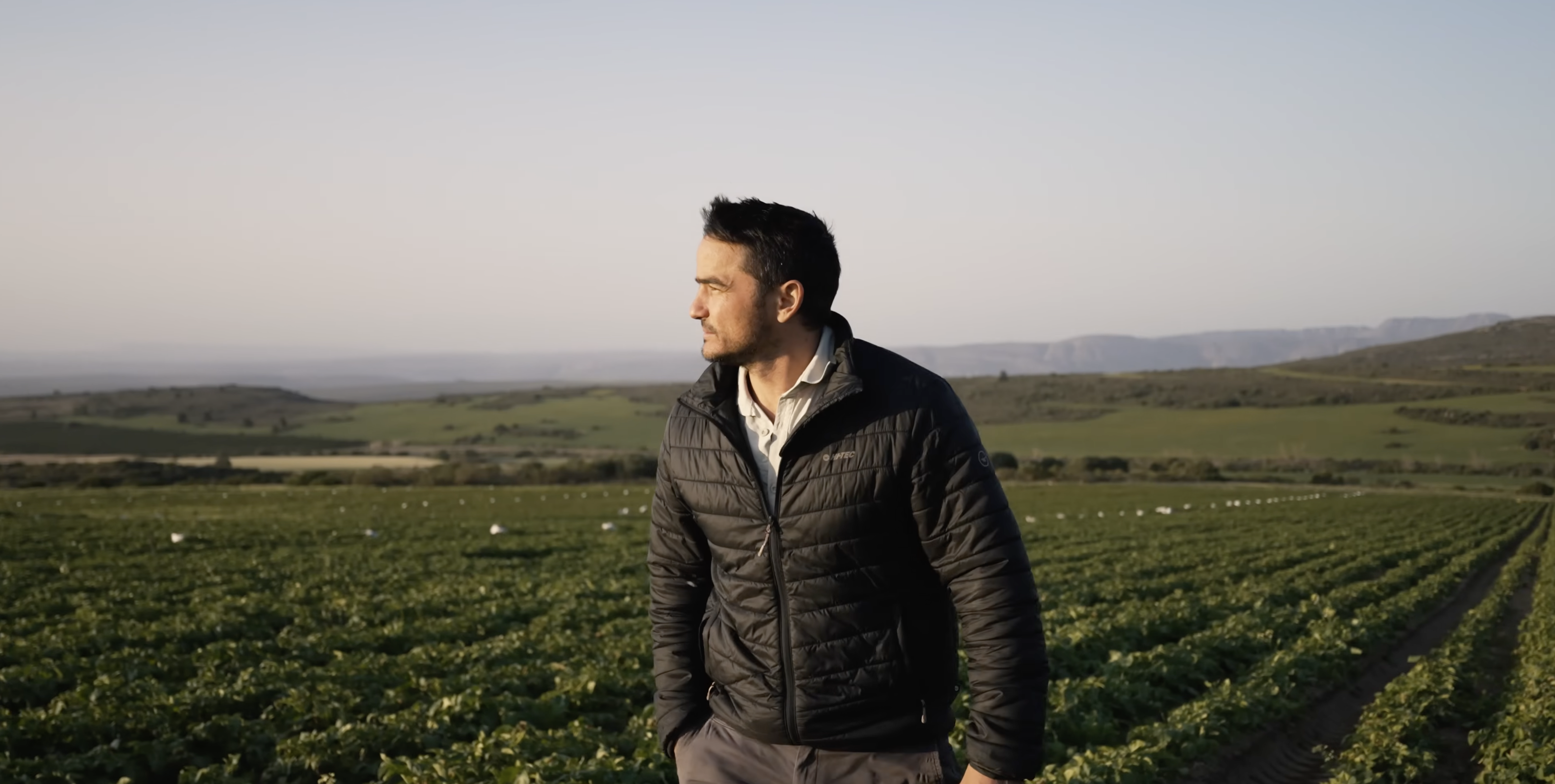 Italy's Hidden Tomato Paradise